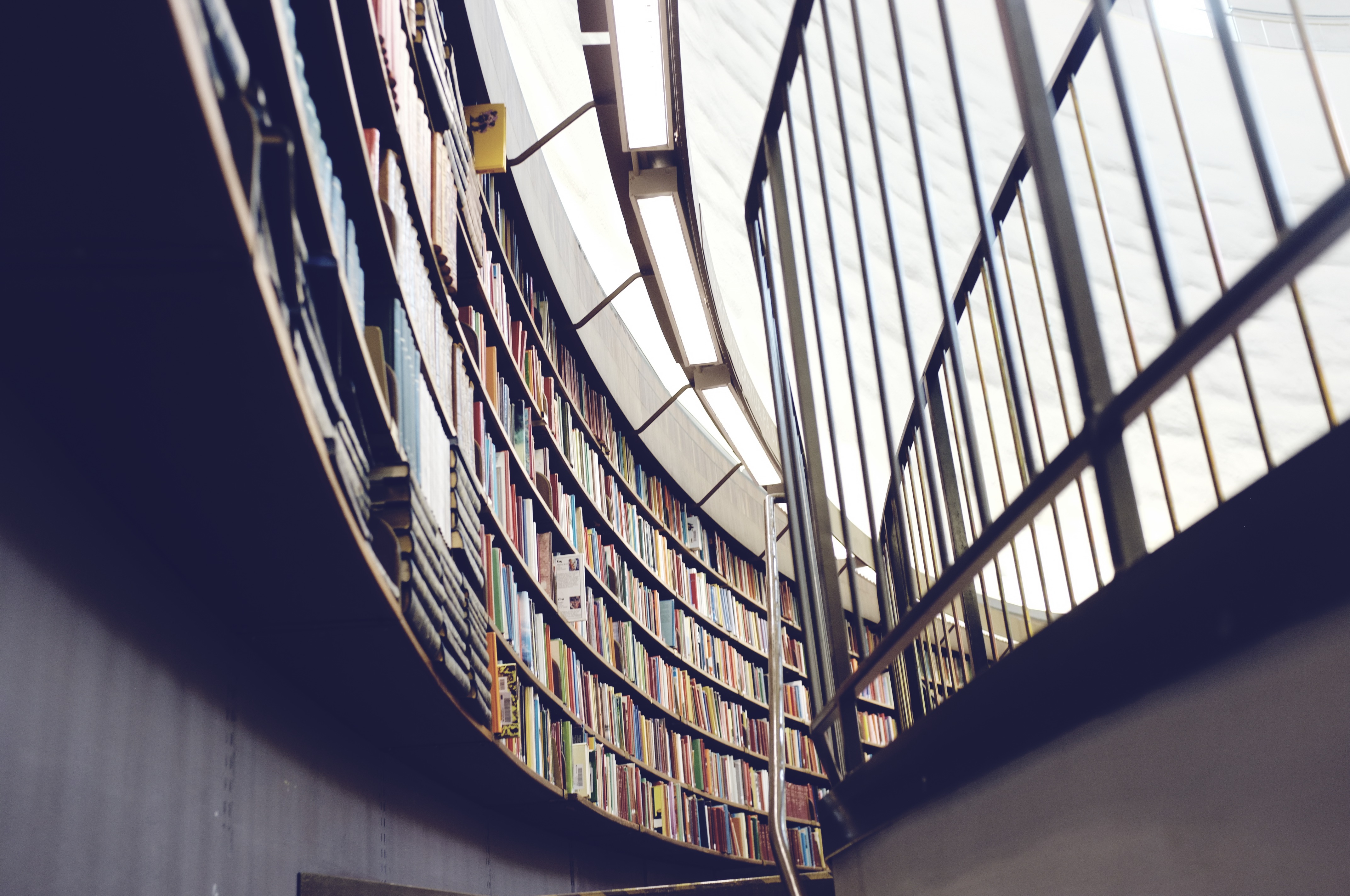 Curving shelves in a school library