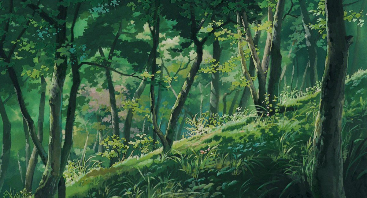 Sunlit green forest