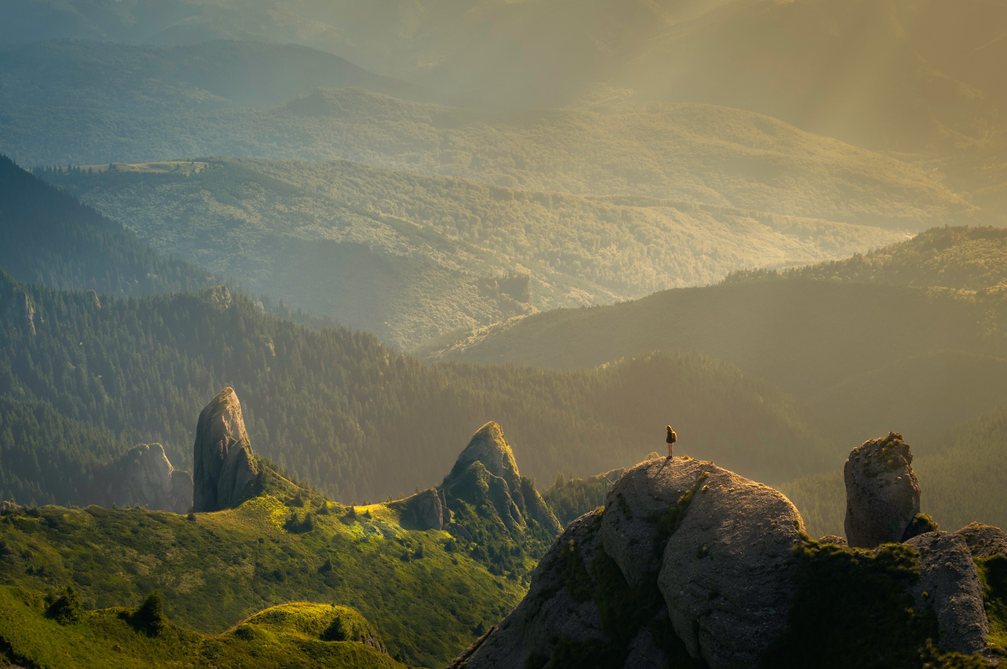 Green mountain landscape in evening light